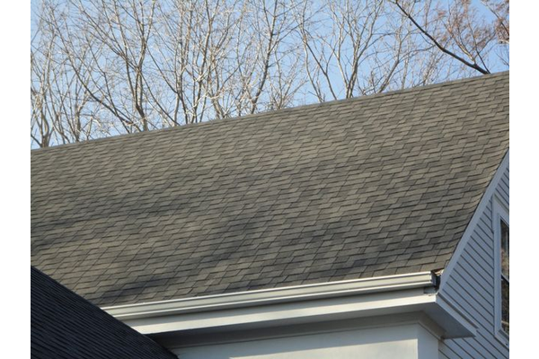 Pewterwood shingle roof