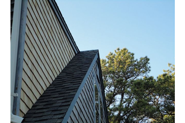 Cedar siding