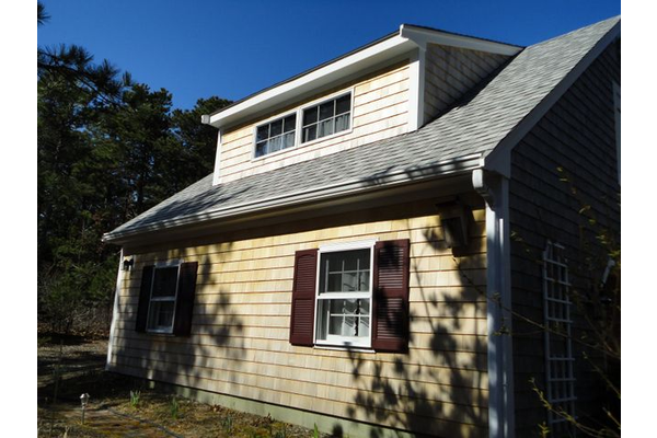 Cedar siding